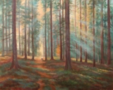Les v mlhavm svtle