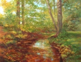 Podzimn motiv s potokem