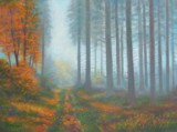 Lesn cesta v mlze
